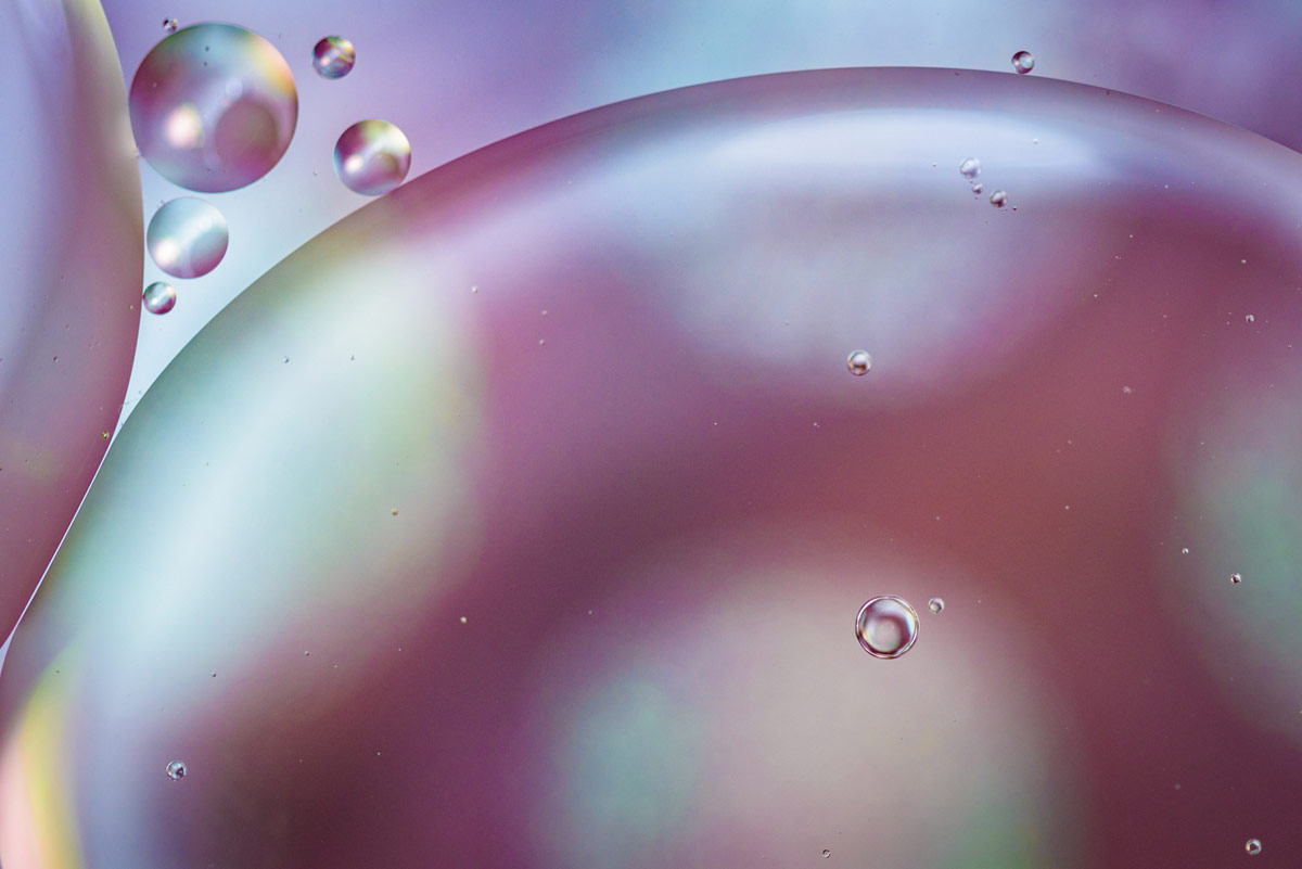 Online: Creating Abstract Macro Photographs | Hunt's Photo Education