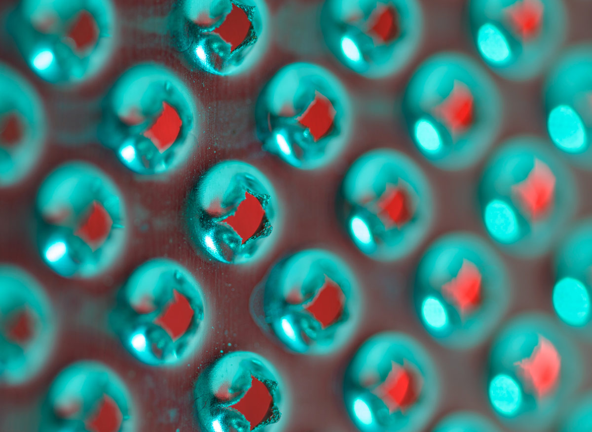 Online: Creating Abstract Macro Photographs | Hunt's Photo Education